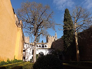 DSCF6250.jpg