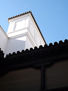 DSCF6274.jpg