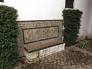 DSCF6276.jpg