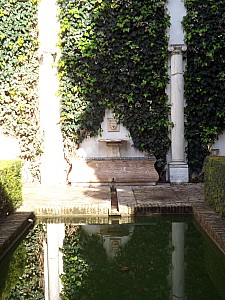 DSCF6282.jpg
