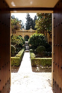 DSCF6283.jpg