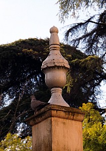 DSCF6287.jpg