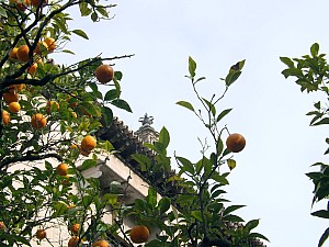 DSCF6296.jpg