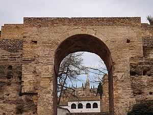 DSCF6344.jpg