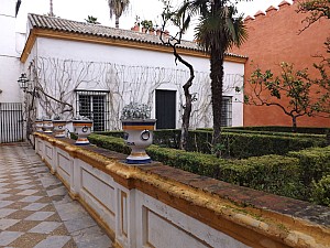 DSCF6351.jpg