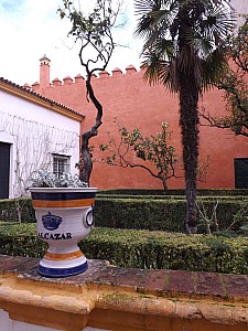 DSCF6352.jpg