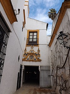DSCF6353.jpg