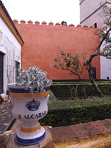 DSCF6354.jpg