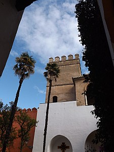 DSCF6366.jpg