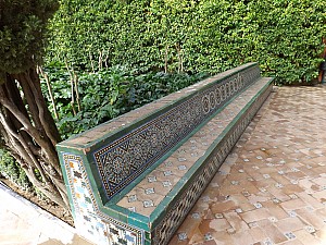 DSCF6377.jpg