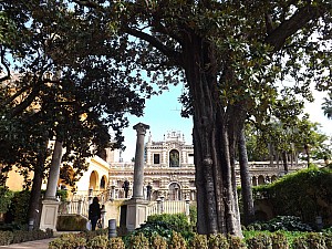 DSCF6379.jpg
