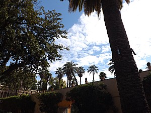 DSCF6383.jpg