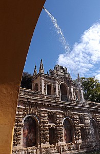 DSCF6386.jpg