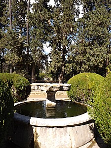 DSCF6392.jpg