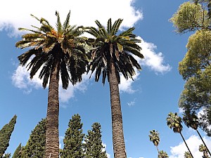 DSCF6396.jpg