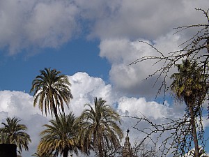 DSCF6399.jpg