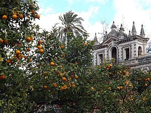 DSCF6402.jpg