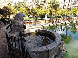 DSCF6407.jpg