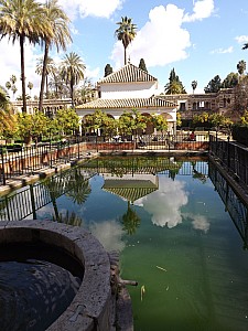 DSCF6408.jpg