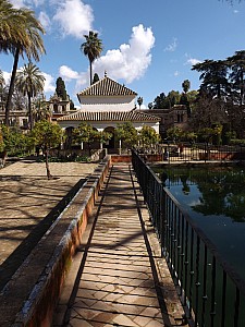 DSCF6415.jpg
