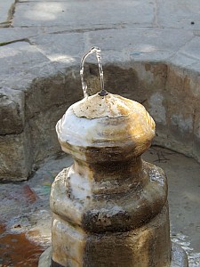 DSCF6421.jpg