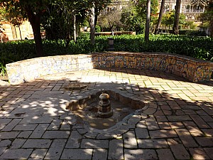 DSCF6422.jpg