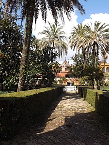 DSCF6426.jpg