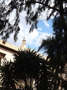 DSCF6435.jpg