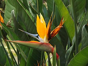 DSCF6442.jpg