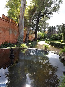 DSCF6446.jpg