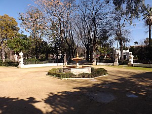 DSCF6575.jpg