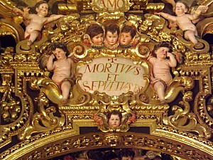 DSCF6601.jpg