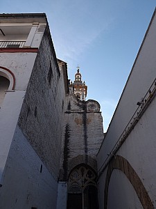 DSCF6613.jpg