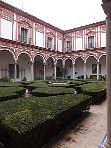 DSCF6667.jpg
