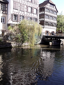 Thumbnail of DSCF8852.jpg