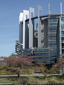 Thumbnail of DSCF8893.jpg