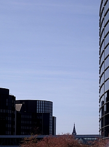 Thumbnail of DSCF8936.jpg