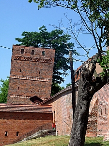 Thumbnail of ete2010 479.jpg