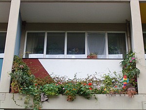 Thumbnail of berlin_061.JPG