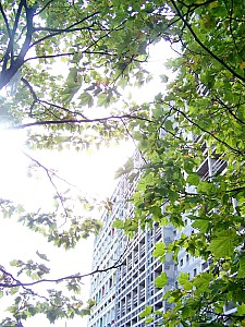 Thumbnail of uhbriey_31.jpg