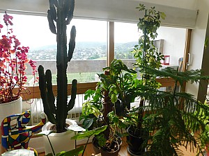 Thumbnail of uhfirminy_17.JPG