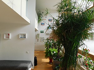 Thumbnail of uhfirminy_22.JPG