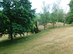 Thumbnail of uhfirminy_4.JPG